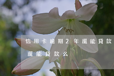信用卡逾期2年還能貸款么(信用卡逾期2年還能貸款么)