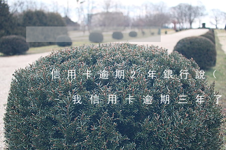信用卡逾期2年銀行說(shuō)要起訴-我信用卡逾期三年了不起訴我為什么