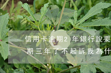 信用卡逾期2年銀行說要起訴-我信用卡逾期三年了不起訴我為什么