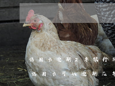 信用卡逾期2年银行为何不起诉(为什么有人信用卡可以逾期几年不被起诉)