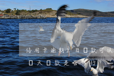 信用卡逾期2日還款可以嗎知乎，信用卡逾期兩天還款是否可行？——知乎上的討論與建議