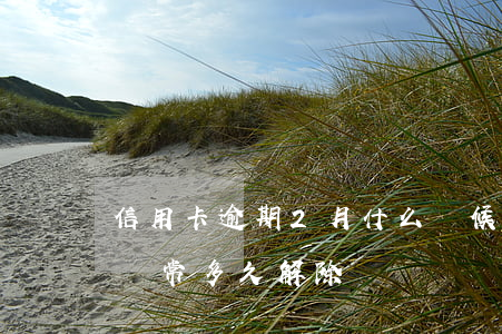 信用卡逾期2月什么時候恢復(逾期后信用卡異常多久解除)