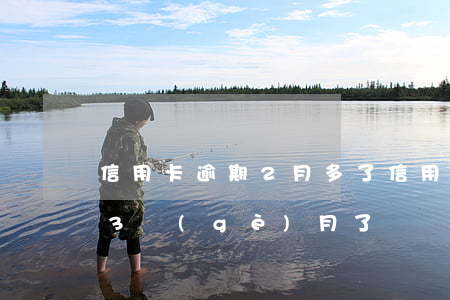 信用卡逾期2月多了(信用卡20000逾期3個(gè)月了)