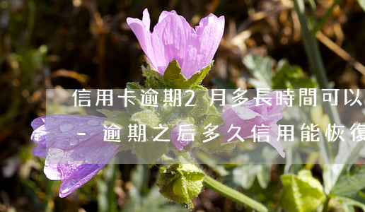 信用卡逾期2月多長時間可以恢復(fù)-逾期之后多久信用能恢復(fù)