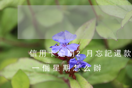 信用卡逾期2月忘記還款(忘記還信用卡逾期一個星期怎么辦)