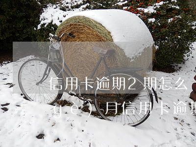 信用卡逾期2期怎么辦 連續(xù)兩個(gè)月信用卡逾期