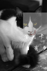 信用卡逾期2期限制使用(信用卡逾期2期影響有多大?)