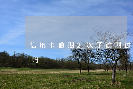 信用卡逾期2次了(逾期过两次,还能办信用卡吗)