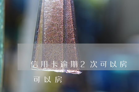 信用卡逾期2次可以房貸嗎(信用卡逾期2次可以房貸嗎)
