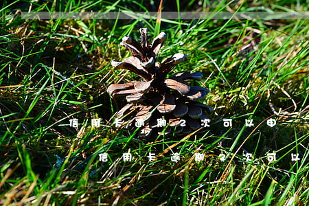 信用卡逾期2次可以申請(qǐng)房貸嗎(信用卡逾期2次可以申請(qǐng)房貸嗎嗎)