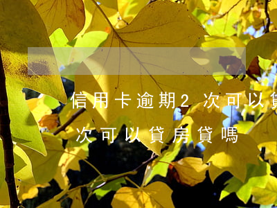 信用卡逾期2次可以貸房貸嗎(信用卡逾期2次可以貸房貸嗎)