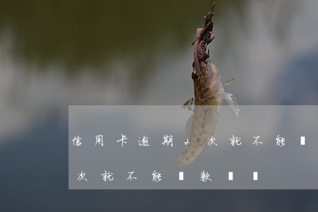 信用卡逾期2次就不能貸款嗎(信用卡逾期2次就不能貸款嗎嗎)