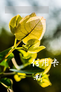 信用卡逾期2次影響車貸(三年前信用卡逾期影響車貸嗎)
