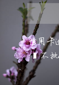 信用卡逾期2次房貸不批(信用卡逾期2次房貸不批)