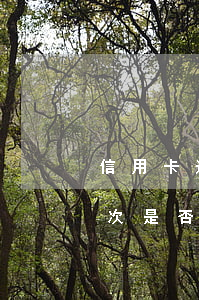 信用卡逾期2次是否影响贷款 信用卡逾期2次是否影响贷款