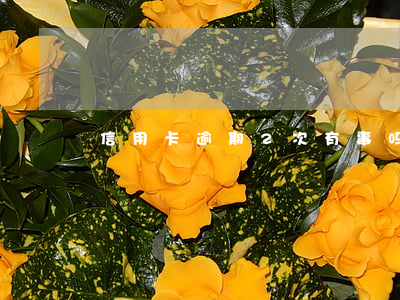 信用卡逾期2次有事吗