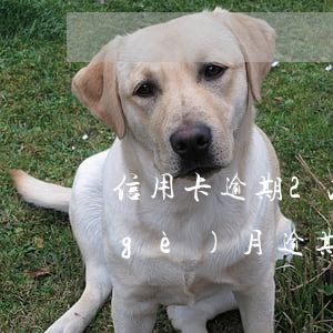 信用卡逾期2次有什么影響-信用卡2個(gè)月逾期后果