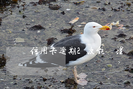 信用卡逾期2次能辦理車貸嗎