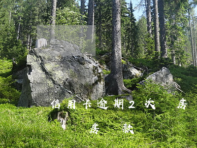 信用卡逾期2次買房貸款(信用卡逾期兩次影響買房貸款嗎)