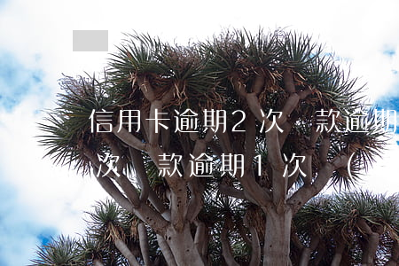 信用卡逾期2次貸款逾期1次(信用卡逾期2次貸款逾期1次數(shù)有多少)