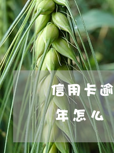 信用卡逾期2筆記錄-很多張信用卡逾期2年怎么辦