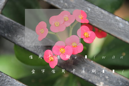 信用卡逾期2萬(wàn)8會(huì)坐牢(信用卡逾期兩萬(wàn)多會(huì)被拘留嗎)