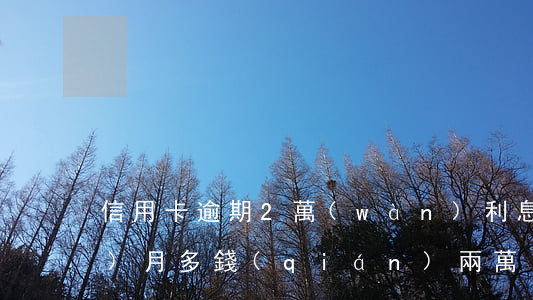 信用卡逾期2萬(wàn)利息一個(gè)月多錢(qián)(兩萬(wàn)的信用卡逾期一年費(fèi)用多少)