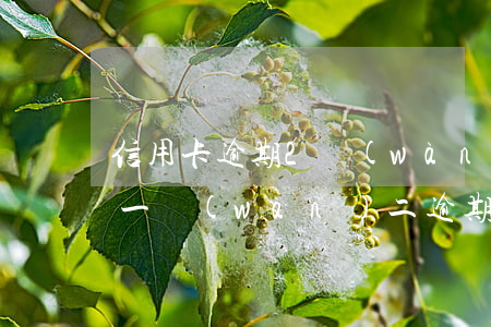 信用卡逾期2萬(wàn)坐牢條件(信用卡一萬(wàn)二逾期拘留多久)