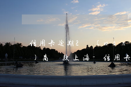 信用卡逾期2萬(wàn)怎么協(xié)商還款上海-信用卡逾期2萬(wàn)怎么協(xié)商還款上海銀行
