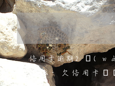 信用卡逾期2萬(wàn)會(huì)起訴么-欠信用卡兩萬(wàn)會(huì)被起訴嗎