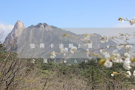 信用卡逾期2萬(wàn)的二年-信用卡2萬(wàn)逾期2年
