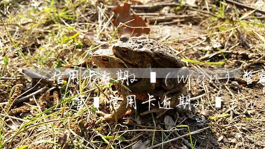 信用卡逾期2萬(wàn)警察會(huì)管嗎(信用卡逾期2萬(wàn)嚴(yán)重嗎)