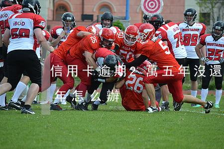 信用卡逾期2萬五年沒還(信用卡4萬逾期5年怎么辦)