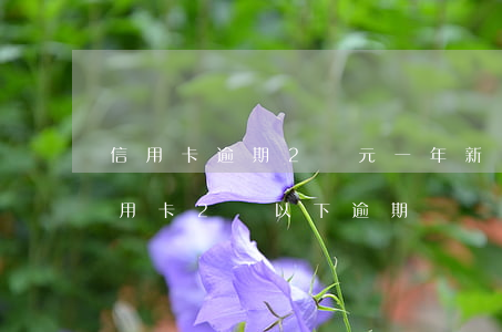 信用卡逾期2萬元一年新規(guī)定(信用卡2萬以下逾期沒還什么后果)