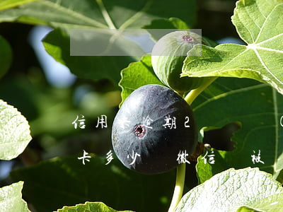 信用卡逾期2萬凍結(jié)微信(欠信用卡多少錢微信會被凍結(jié))