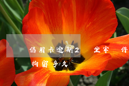 信用卡逾期2萬坐牢條件(信用卡一萬二逾期拘留多久)