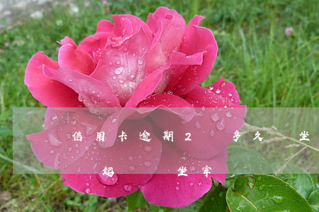 信用卡逾期2萬多久會坐牢嗎(信用卡逾期二萬起訴會坐牢嗎)
