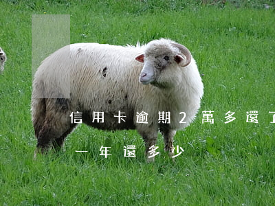 信用卡逾期2萬多還了9千(信用卡8千逾期一年還多少)
