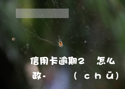 信用卡逾期2萬怎么協(xié)商還款郵政-郵儲(chǔ)信用卡 逾期