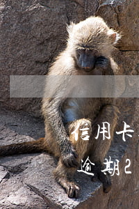 信用卡逾期2萬會(huì)起訴么(信用卡逾期2萬被起訴后怎么辦?)