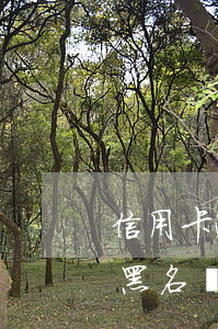 信用卡逾期2萬會(huì)進(jìn)黑名單嗎(征信黑名單了還能用信用卡嗎)