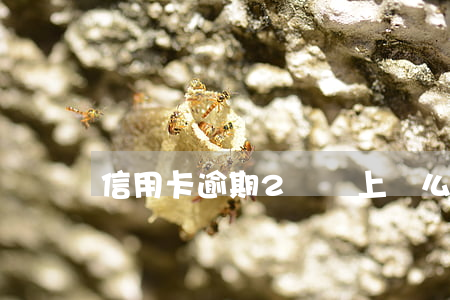 信用卡逾期2萬會上門么
