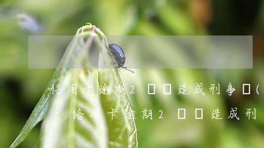 信用卡逾期2萬會造成刑事責(zé)任嗎-信用卡逾期2萬會造成刑事責(zé)任嗎判幾年