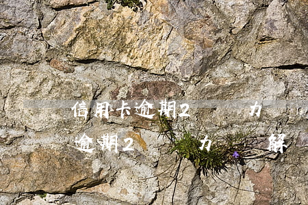 信用卡逾期2萬無力償還解決辦法-信用卡逾期2萬無力償還解決辦法是什么