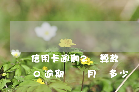 信用卡逾期2萬算款項較大嗎(信用卡5000逾期兩個月還多少)