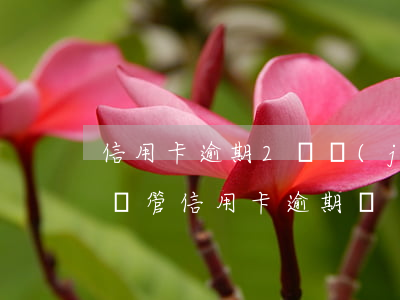 信用卡逾期2萬經(jīng)偵隊 刑偵大隊管信用卡逾期嗎