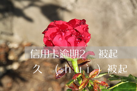 信用卡逾期2萬被起訴嗎(信用卡逾期2萬多久會(huì)被起訴坐牢)