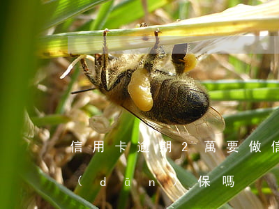 信用卡逾期2萬要做(信用卡逾期2萬要做擔(dān)保嗎)