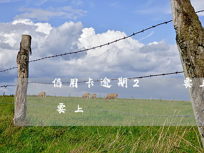 信用卡逾期2萬說要上門(信用卡逾期2萬說要上門)