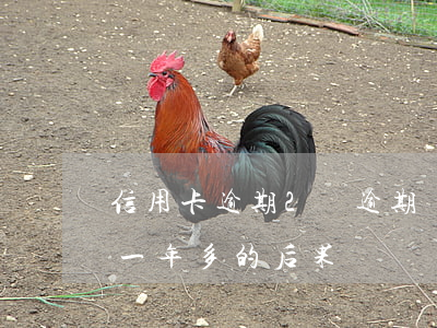 信用卡逾期2萬逾期兩年(欠信用卡兩萬逾期一年多的后果)